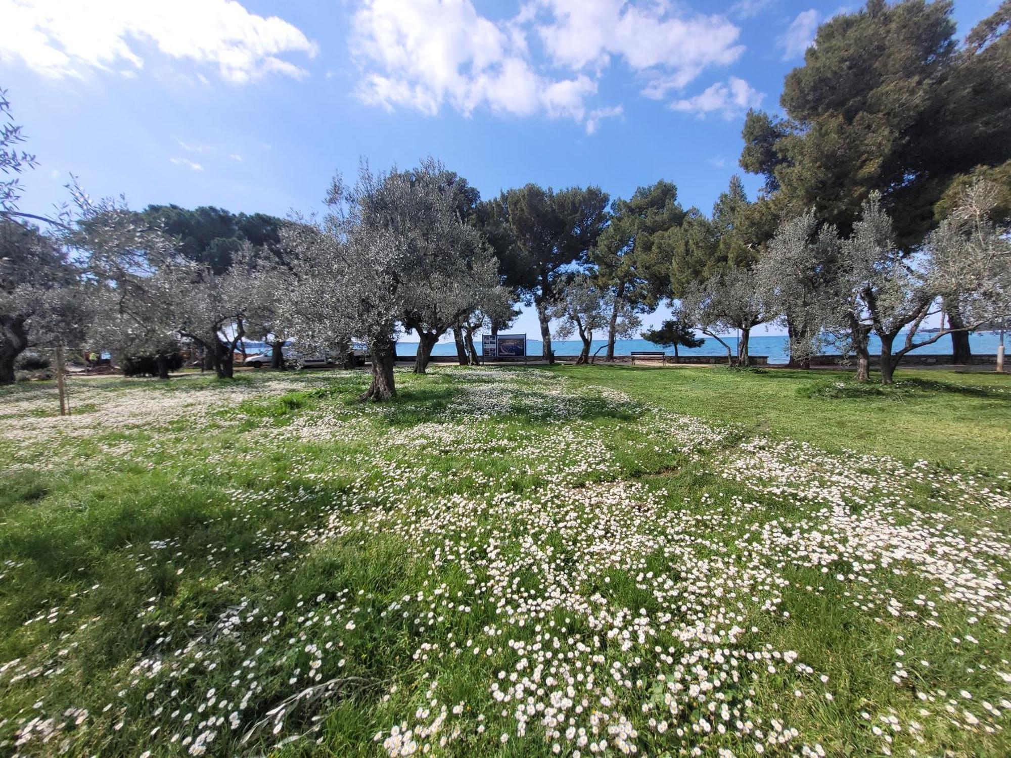 Ferienwohnung Mit Pool Kroatien Mit Meerblick Und Pool Lovran Dış mekan fotoğraf